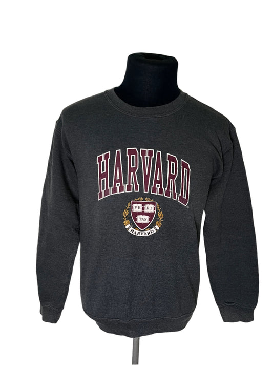 Printed Harvard Hoodie S